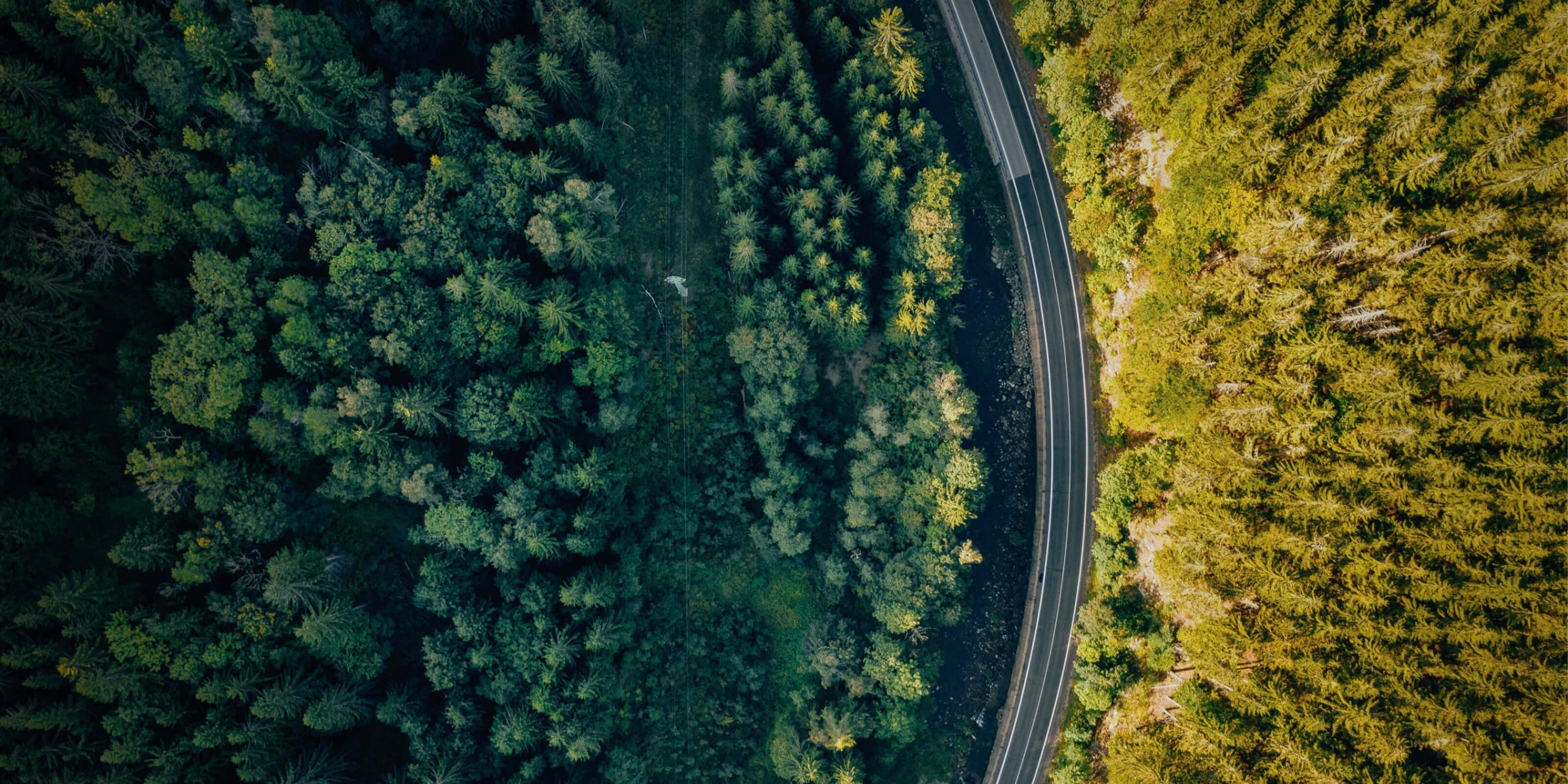 Environmental friendly